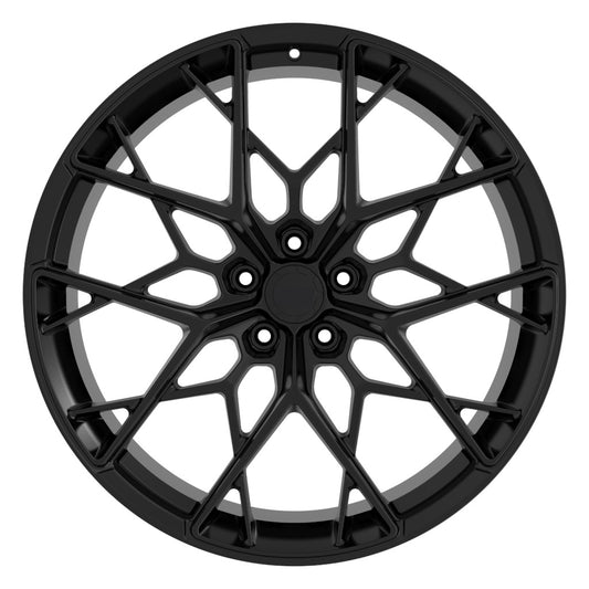 FMW07-F1 - Custom Forged Wheels